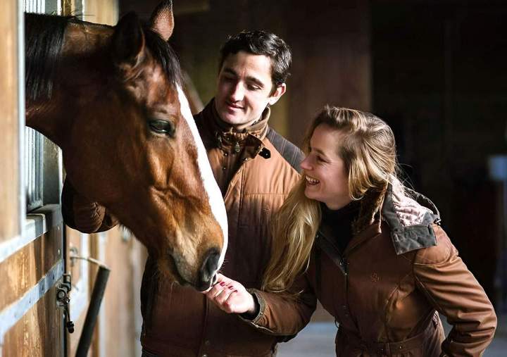Écurie concours hippique Bazainville