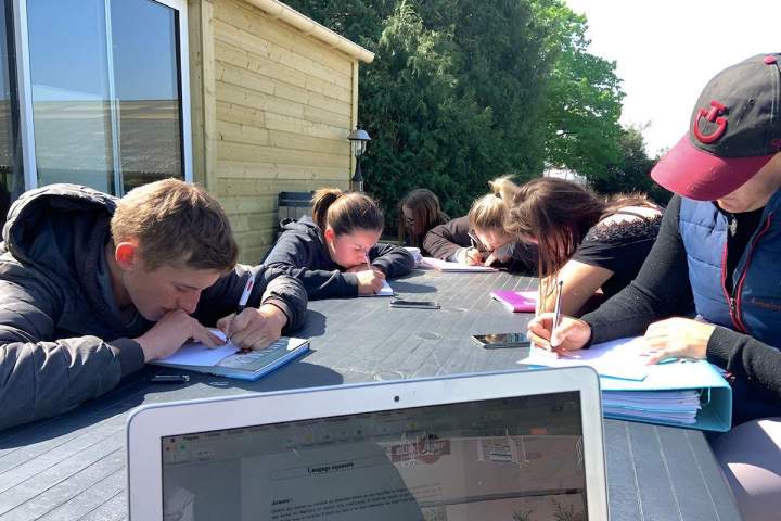 Formation équitation Bazainville