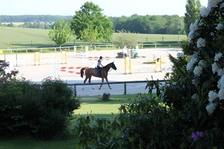 Stage équestre Bazainville