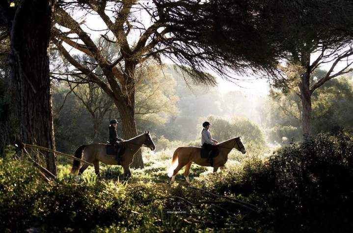 Coaching en équitation de haut niveau Bazainville