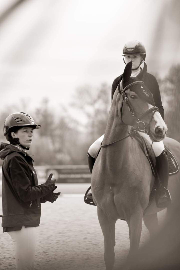 Pensions chevaux de compétition Bazainville