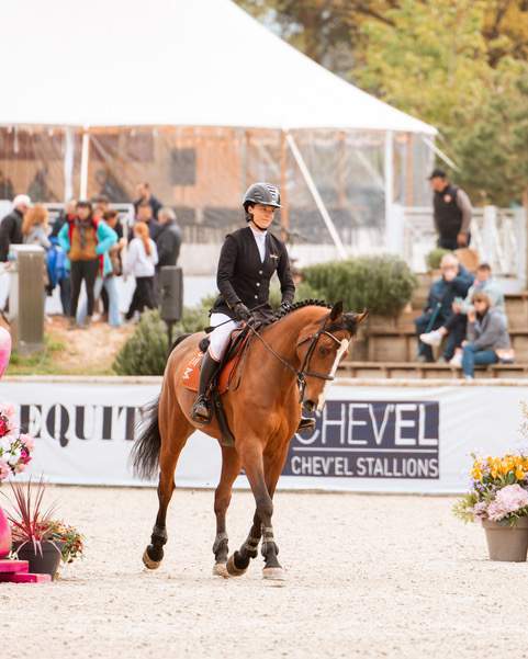 Un cheval de sport pour un week-end?