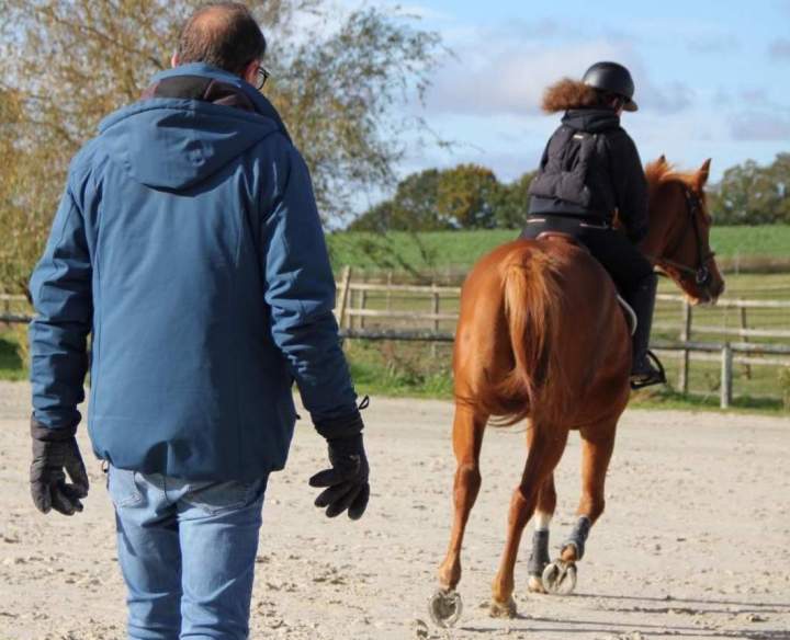 Écurie de compétition, Versailles