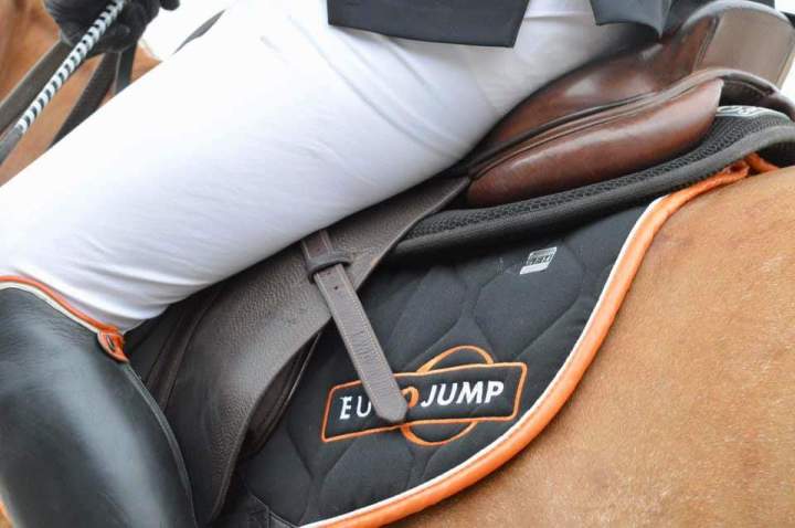 Pension équestre, Paris