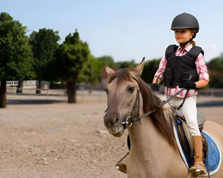 Centre équestre compétition Bazainville