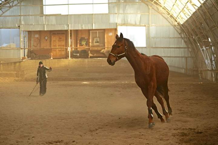 Écurie de compétition Bazainville