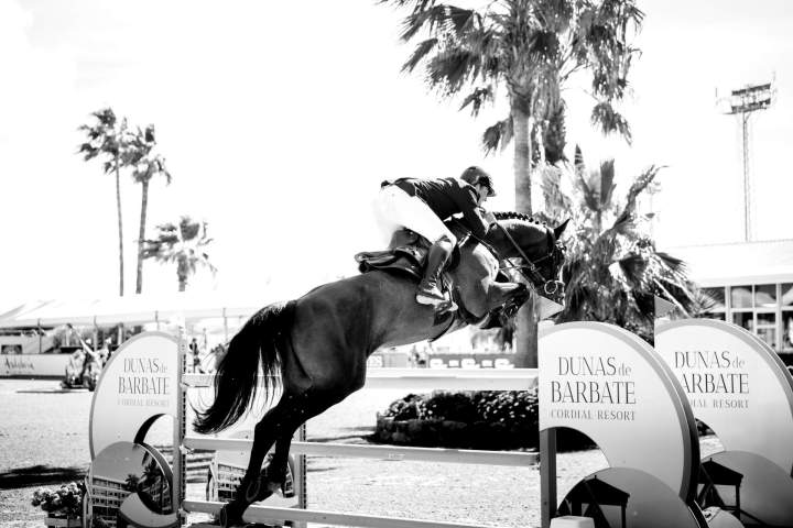 Concours hippique villamoura